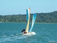 Regata de Canoa 1.jpg

142,09 KB 
750 x 563 
17/10/2005
